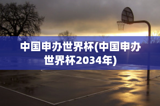 中国申办世界杯(中国申办世界杯2034年)