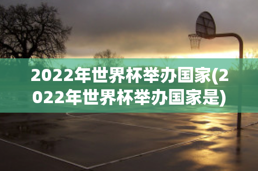 2022年世界杯举办国家(2022年世界杯举办国家是)