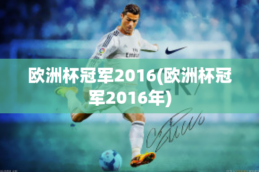 欧洲杯冠军2016(欧洲杯冠军2016年)