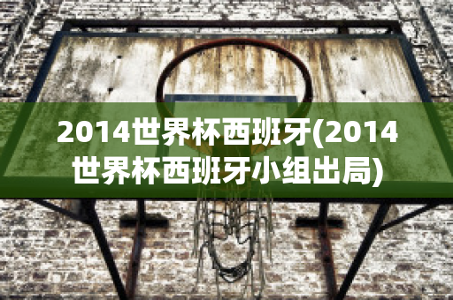 2014世界杯西班牙(2014世界杯西班牙小组出局)