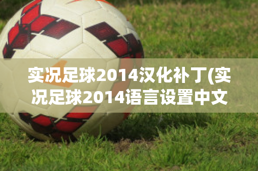 实况足球2014汉化补丁(实况足球2014语言设置中文)