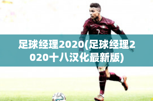 足球经理2020(足球经理2020十八汉化最新版)