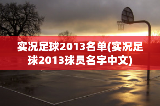 实况足球2013名单(实况足球2013球员名字中文)