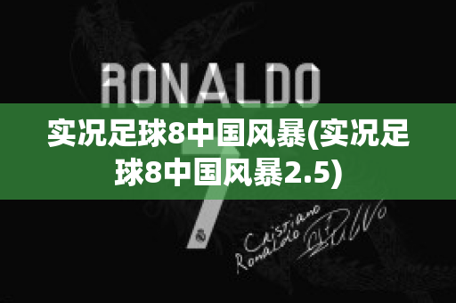 实况足球8中国风暴(实况足球8中国风暴2.5)