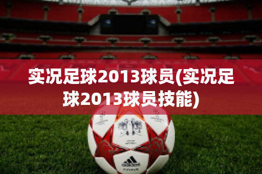 实况足球2013球员(实况足球2013球员技能)