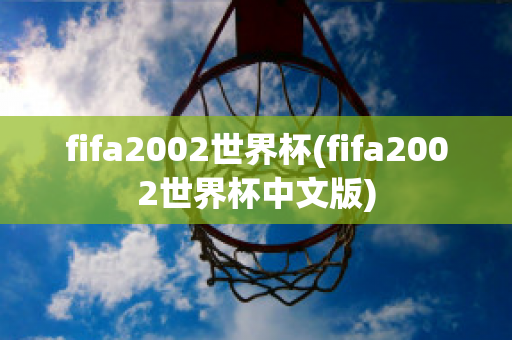 fifa2002世界杯(fifa2002世界杯中文版)