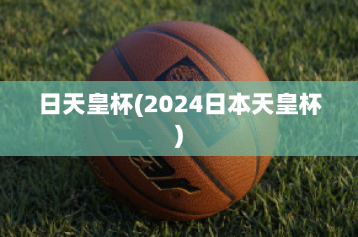 日天皇杯(2024日本天皇杯)