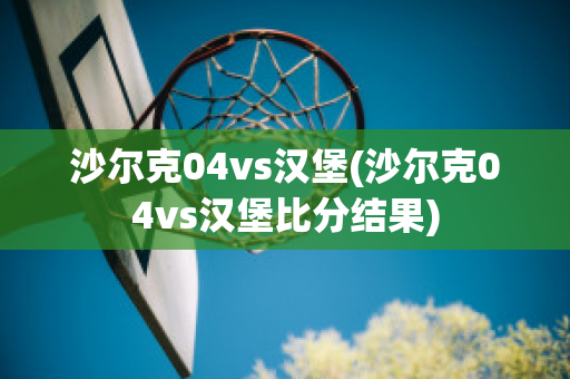 沙尔克04vs汉堡(沙尔克04vs汉堡比分结果)