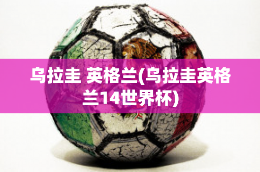 乌拉圭 英格兰(乌拉圭英格兰14世界杯)