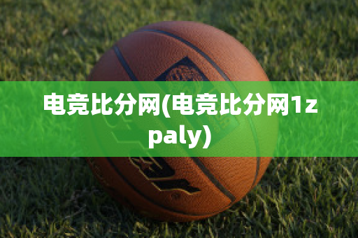 电竞比分网(电竞比分网1zpaly)