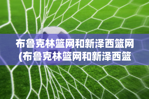 布鲁克林篮网和新泽西篮网(布鲁克林篮网和新泽西篮网谁厉害)