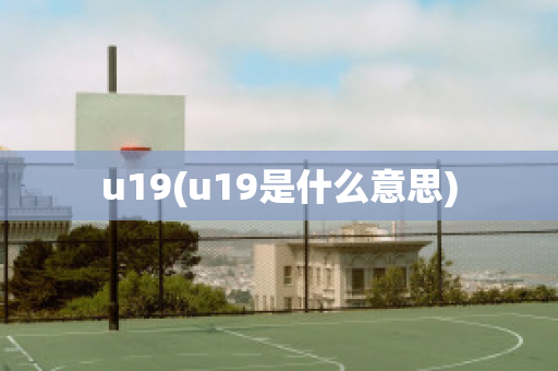 u19(u19是什么意思)