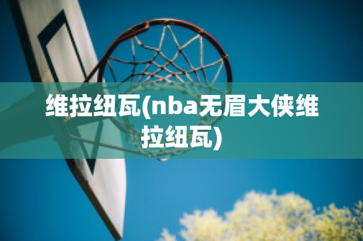 维拉纽瓦(nba无眉大侠维拉纽瓦)