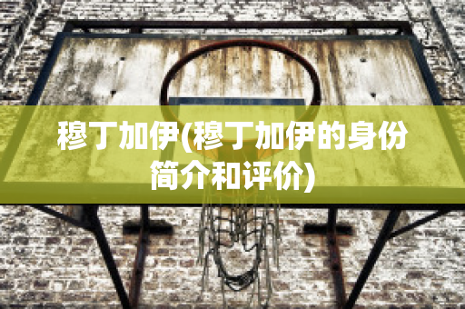 穆丁加伊(穆丁加伊的身份简介和评价)