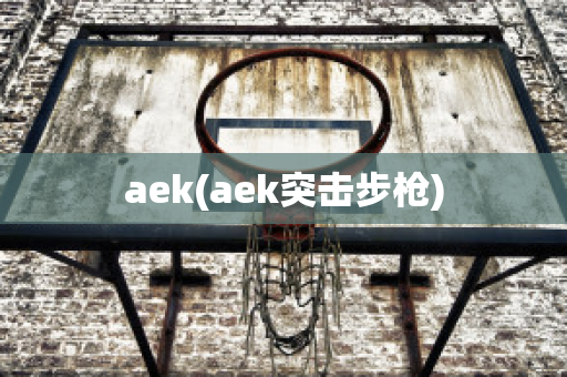 aek(aek突击步枪)