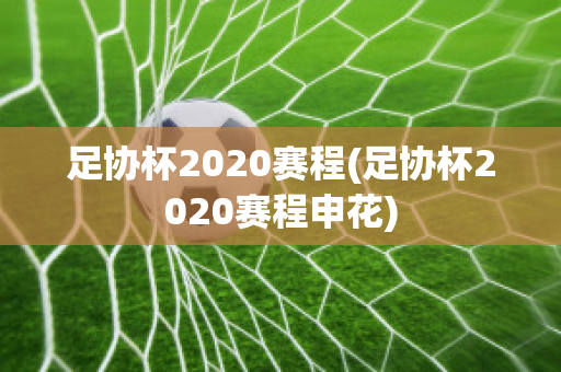 足协杯2020赛程(足协杯2020赛程申花)