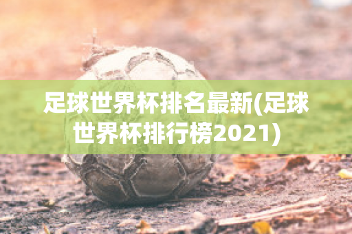 足球世界杯排名最新(足球世界杯排行榜2021)