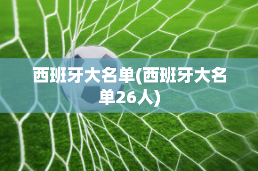西班牙大名单(西班牙大名单26人)