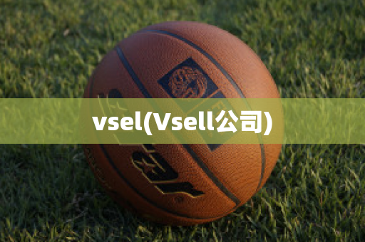 vsel(Vsell公司)