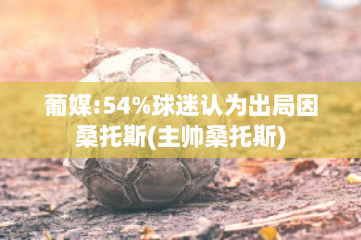 葡媒:54%球迷认为出局因桑托斯(主帅桑托斯)