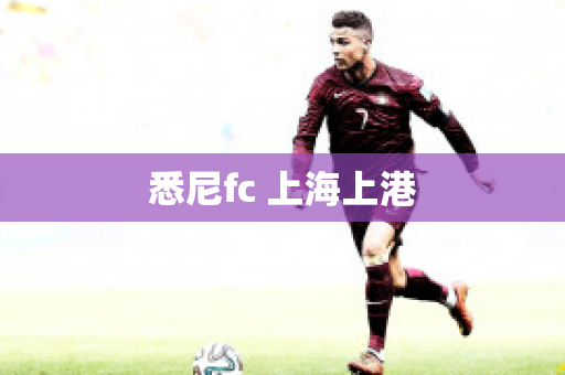 悉尼fc 上海上港