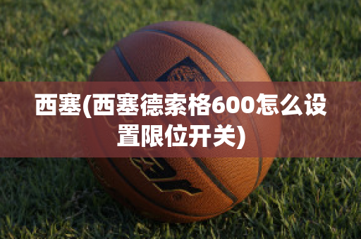 西塞(西塞德索格600怎么设置限位开关)