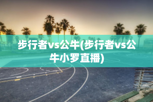 步行者vs公牛(步行者vs公牛小罗直播)