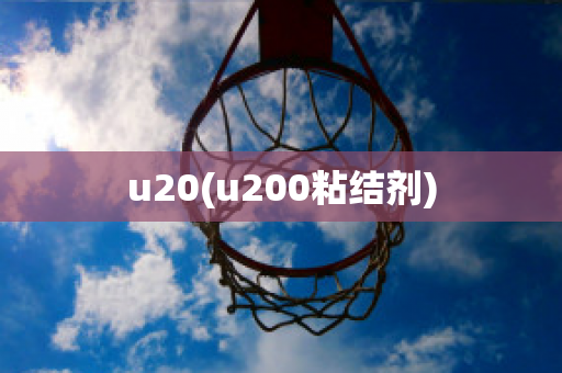 u20(u200粘结剂)