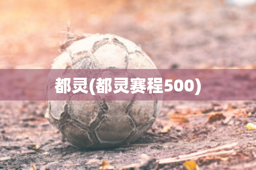 都灵(都灵赛程500)