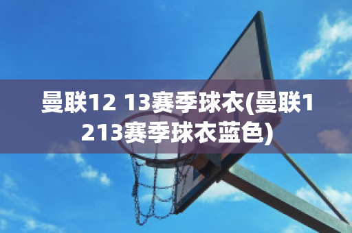 曼联12 13赛季球衣(曼联1213赛季球衣蓝色)