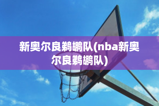 新奥尔良鹈鹕队(nba新奥尔良鹈鹕队)