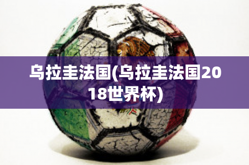 乌拉圭法国(乌拉圭法国2018世界杯)