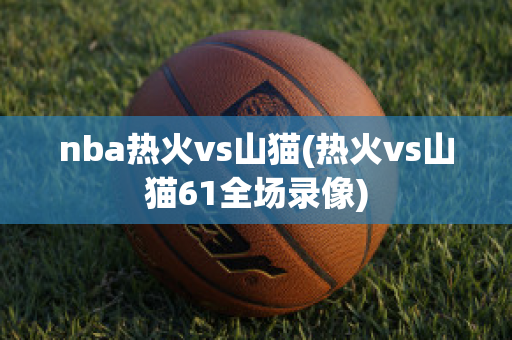 nba热火vs山猫(热火vs山猫61全场录像)