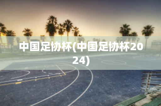 中国足协杯(中国足协杯2024)