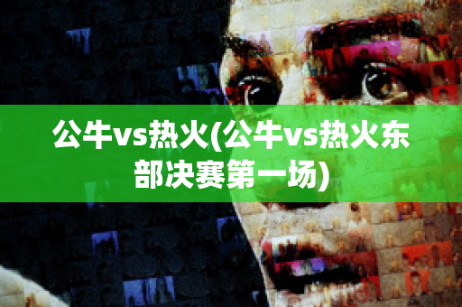 公牛vs热火(公牛vs热火东部决赛第一场)