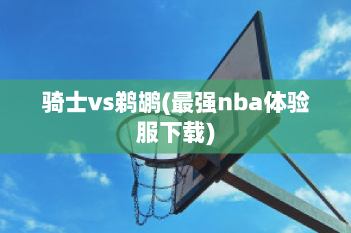 骑士vs鹈鹕(最强nba体验服下载)