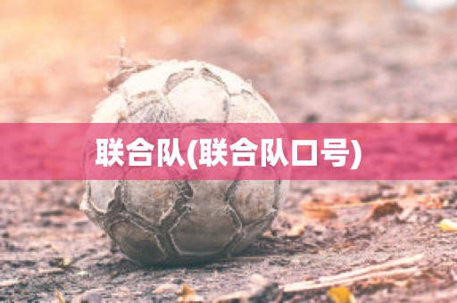 联合队(联合队口号)