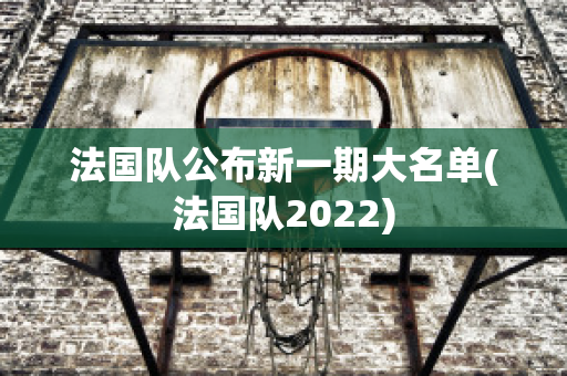 法国队公布新一期大名单(法国队2022)