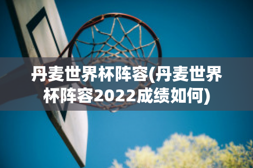 丹麦世界杯阵容(丹麦世界杯阵容2022成绩如何)