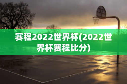 赛程2022世界杯(2022世界杯赛程比分)