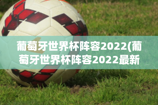 葡萄牙世界杯阵容2022(葡萄牙世界杯阵容2022最新)