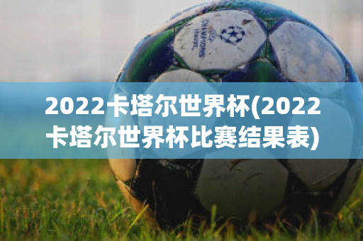 2022卡塔尔世界杯(2022卡塔尔世界杯比赛结果表)