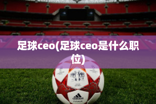 足球ceo(足球ceo是什么职位)