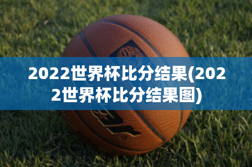 2022世界杯比分结果(2022世界杯比分结果图)