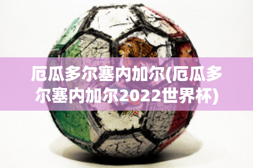 厄瓜多尔塞内加尔(厄瓜多尔塞内加尔2022世界杯)