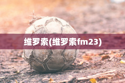 维罗索(维罗索fm23)