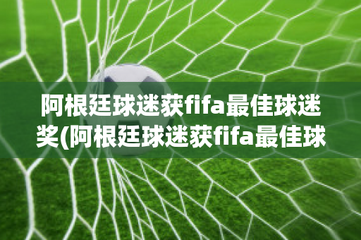 阿根廷球迷获fifa最佳球迷奖(阿根廷球迷获fifa最佳球迷奖是什么)