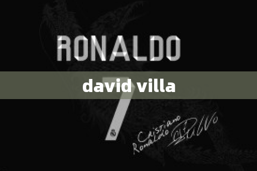 david villa