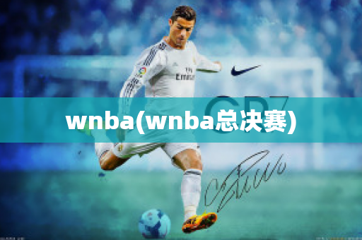 wnba(wnba总决赛)