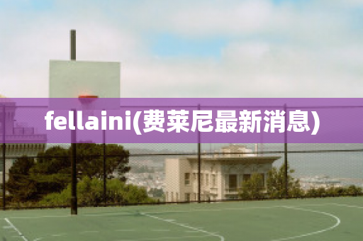 fellaini(费莱尼最新消息)